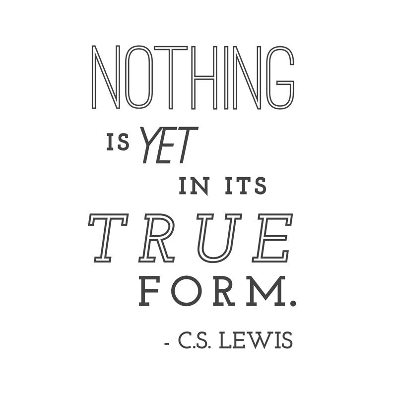 Nothing is yet in its true form, C.S. Lewis Quote - Dana Decals