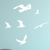 Cluster of Seagulls - Dana Decals