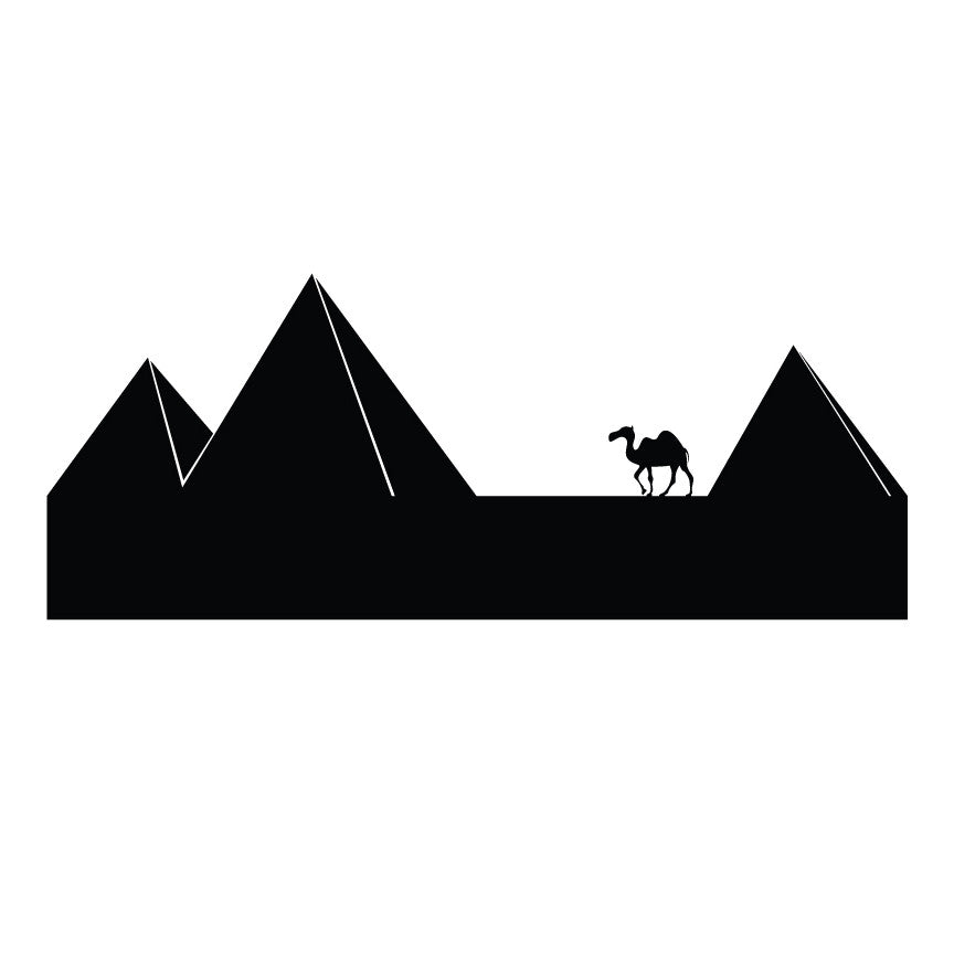 Pyramids and Camel - Dana Decals