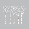 Birch Trees Silhouettes Forrest - Dana Decals