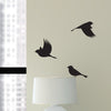 Realistic Birds - Dana Decals