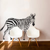 Life Size Zebra - Dana Decals