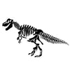 T-Rex Dino Skeleton - Dana Decals