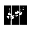 Orchids - Dana Decals