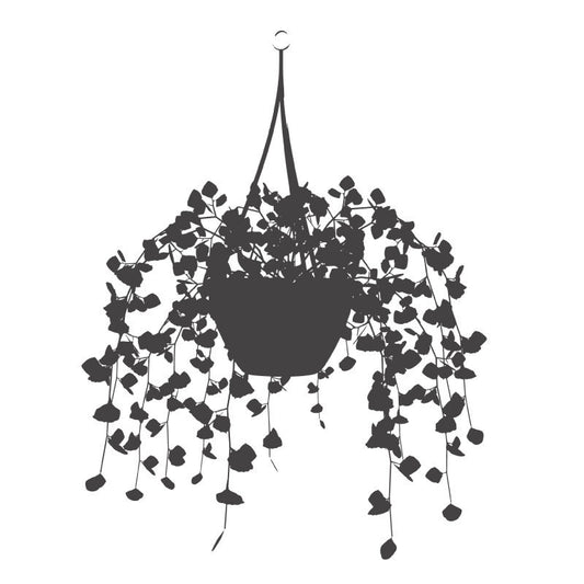 Foliage Hanging Basket - Dana Decals