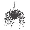 Foliage Hanging Basket - Dana Decals