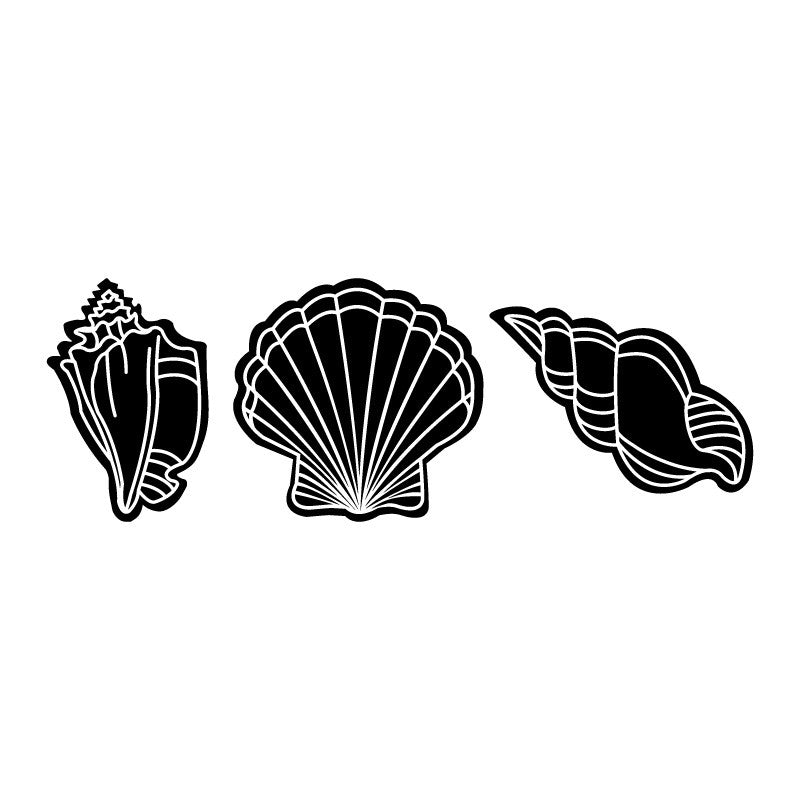 Seashells - Dana Decals
