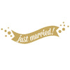 Just Married Banner - Dana Decals