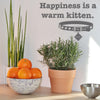 Happiness is a warm kitten - Dana Decals