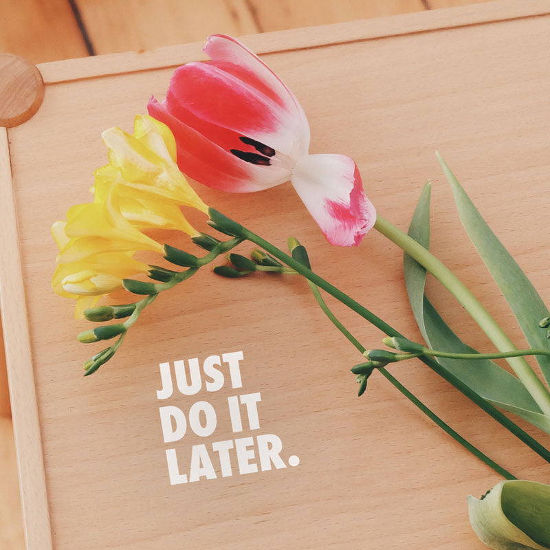 Just Do it Later - Dana Decals